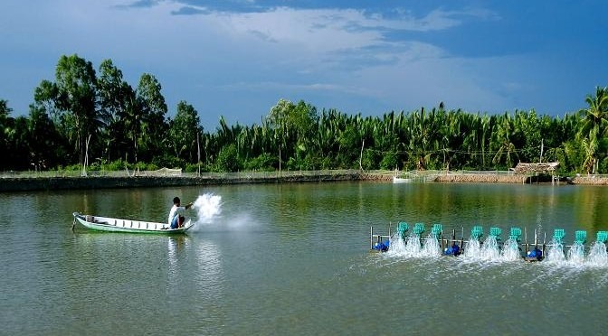 Đông Á - Địa chỉ mua Chlorine giá rẻ, đảm bảo chất lượng